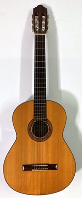 Lot 63 - ACOUSTIC GUITARS.
