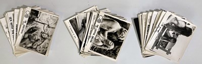 Lot 324 - FILM STILLS - ADULT / EROTIC TITLES.