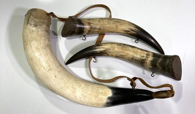 Lot 30 - DRINKING HORNS.