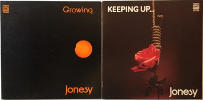 Lot 1064 - JONESY - KEEPING UP & GROWING LPs (ORIGINAL UK COPIES ON DAWN)