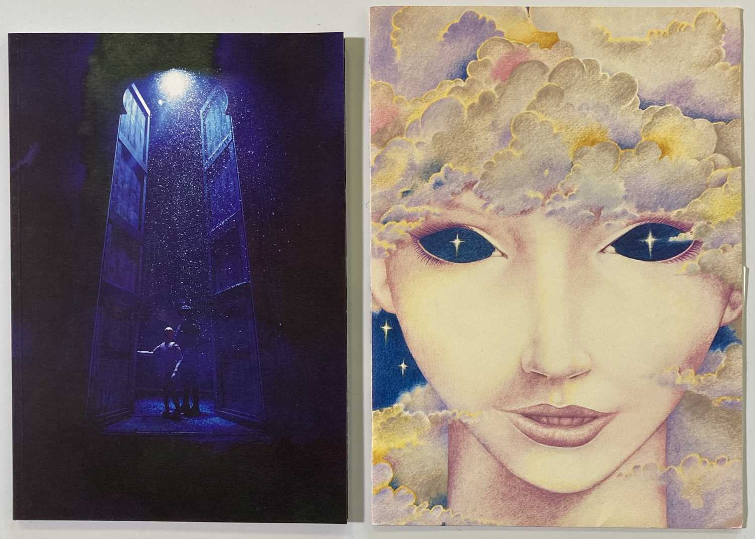 Lot 21 - KATE BUSH CONCERT PROGRAMMES.
