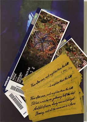 Lot 21 - KATE BUSH CONCERT PROGRAMMES.