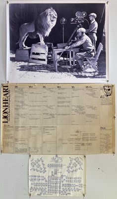 Lot 157 - KATE BUSH - LIONHEART TOUR PRODUCTION OVERVIEW SHEET.
