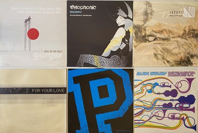 Lot 27 - HOUSE LP/12 INCH COLLECTION