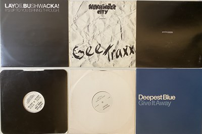 Lot 29 - HOUSE LP/12 INCH COLLECTION