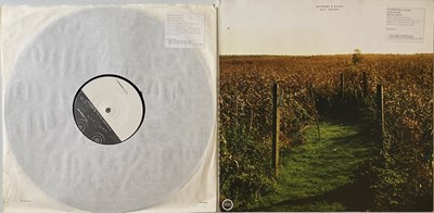 Lot 47 - ELECTRONICA/AMBIENT/ELECTRO/IDM - LP & 12 INCH COLLECTION (INCLUDES RARITIES)