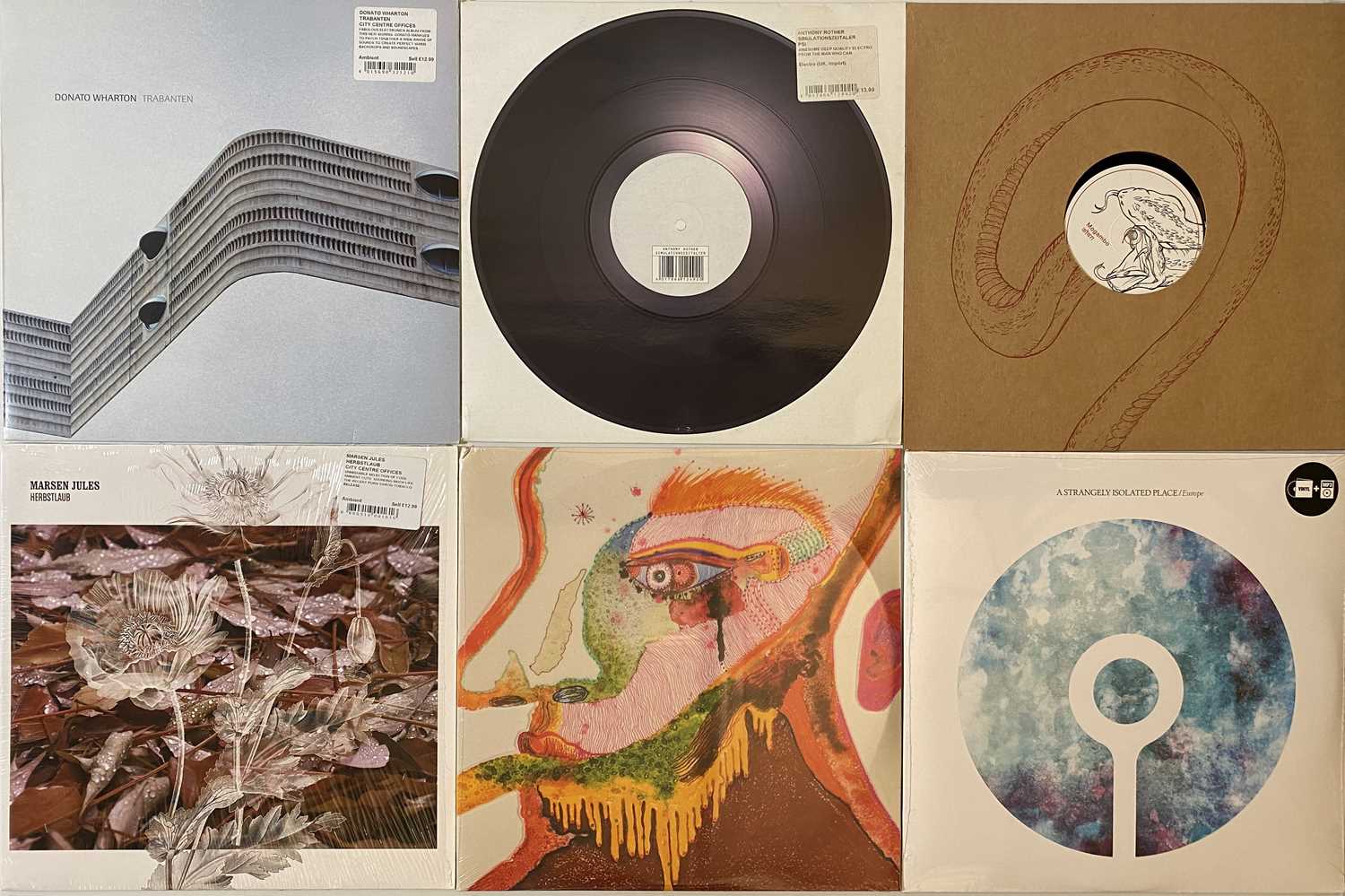 Lot 62 - AMBIENT/IDM/ELECTRONIK 12''/LP COLLECTION