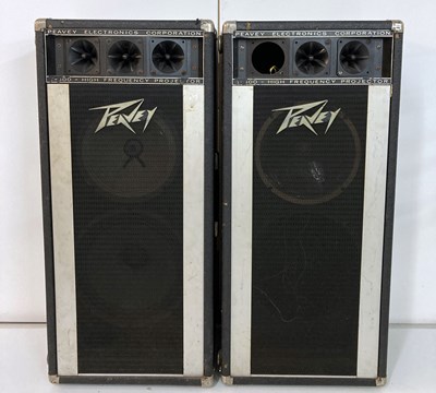 Lot 21 - PEAVEY 1210TS SPEAKERS.