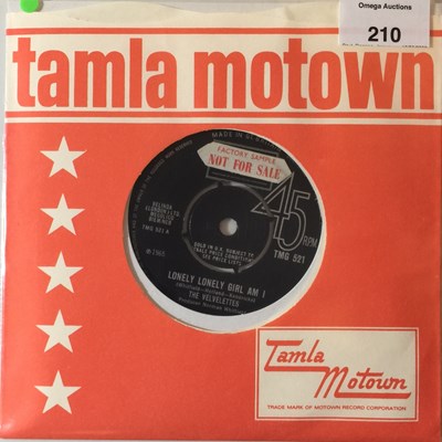 Lot 210 - TMG 521 - THE VELVELETTES - LONELY LONELY GIRL AM I 7"