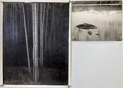 Lot 67 - ANSEL ADAMS (1902-1884).