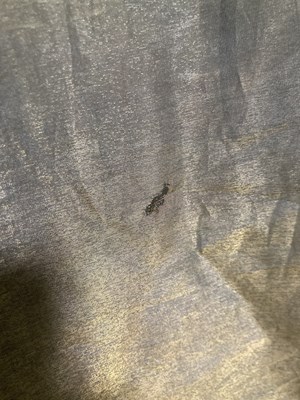 Lot 448 - THE FALL / MARK E. SMITH - OWNED AND STAGE WORN SHIRT.