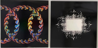 Lot 111 - TOOL - LP RARITIES