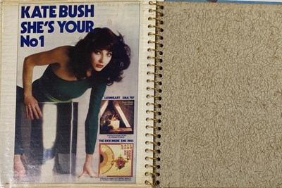 Lot 30 - KATE BUSH SCRAPBOOKS INC CONCERT PHOTOGRAPHS.