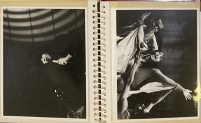 Lot 30 - KATE BUSH SCRAPBOOKS INC CONCERT PHOTOGRAPHS.