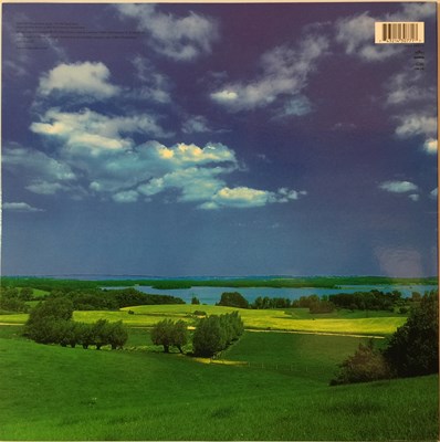 Lot 6 - DAVID BOWIE - EARTHLING - LP (74321 43077-1)