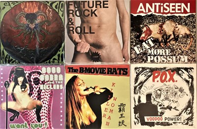 Lot 16 - PUNK/HARDCORE/GARAGE - LPs