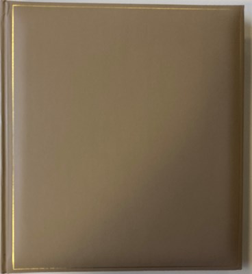 Lot 250 - TIN MACHINE - IT'S MY LIFE TOUR 1991 SCRAPBOOK INC FAN TAKEN PHOTOS