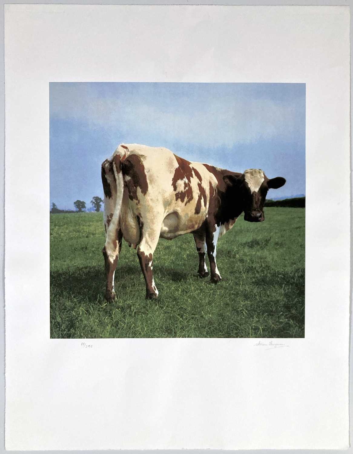Lot 396 - PINK FLOYD / STORM THORGERSON ATOM HEART MOTHER SIGNED FINE ART PRINT.