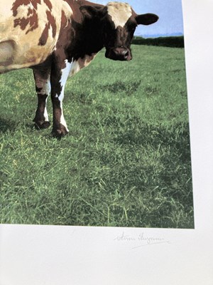 Lot 396 - PINK FLOYD / STORM THORGERSON ATOM HEART MOTHER SIGNED FINE ART PRINT.