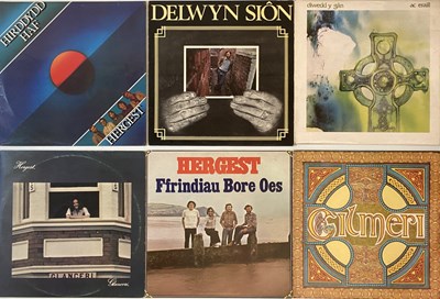 Lot 987 - Welsh/Sain LPs