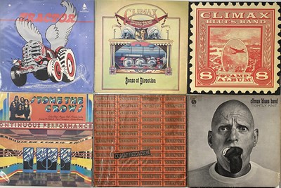 Lot 1007 - BLUES/ BLUES ROCK - LP COLLECTION