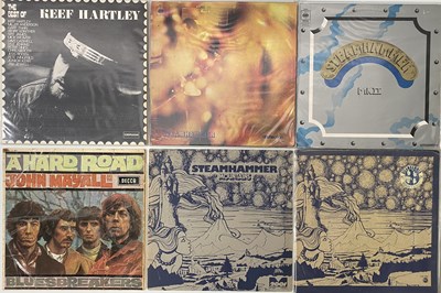 Lot 1008 - BLUES/ BLUES ROCK - LP COLLECTION