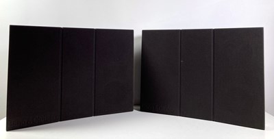 Lot 17 - BANG & OLUFSEN SINGLE RED LINE RL 6513 SPEAKERS (PAIR).