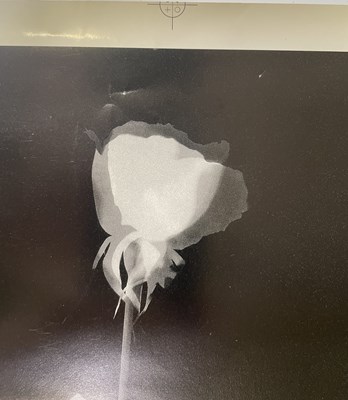 Lot 77 - DEPECHE MODE - PROOF / REJECTED INNER SLEEVE DESIGN FOR 'VIOLATOR'.