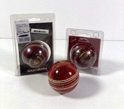 Lot 63 - CRICKET MEMORABILIA - SIGNED CRICKET BALLS INC SHANE WARNE.