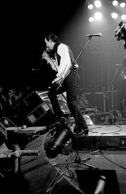 Lot 12 - THE DAMNED NEGATIVES - WITH COPYRIGHT