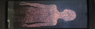 Lot 35 - VISIONAIRE NO.24 LIGHT - LIGHTBOX BY TOM FORD FOR GUCCI