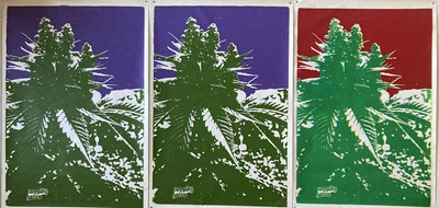Lot 82 - CLASSIC ROCK POSTERS - BOWIE / HENDRIX / KATE BUSH 