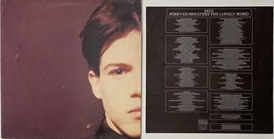 Lot 133 - FELT AND RELATED - LP/12" COLLECTION