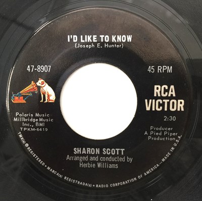 Lot 14 - SHARON SCOTT - COULD IT BE YOU/ I'D LIKE TO KNOW 7" (US NORTHERN - RCA - 47-8907)
