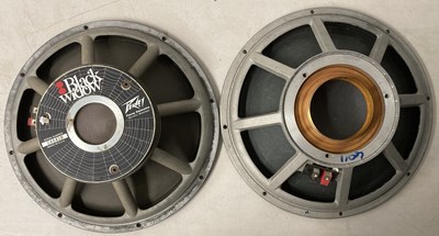 Lot 18 - LARGE COLLECTION OF SPEAKER CONES.