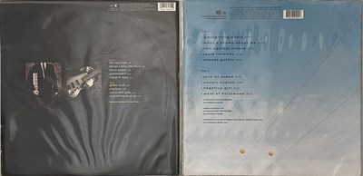 Lot 62 - STEELY DAN - EARLY 2000s - LP RARITIES
