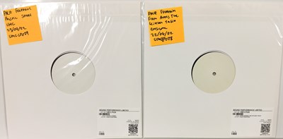 Lot 13 - PALE FOUNTAINS - 2022 WHITE LABEL TEST PRESSING LPs