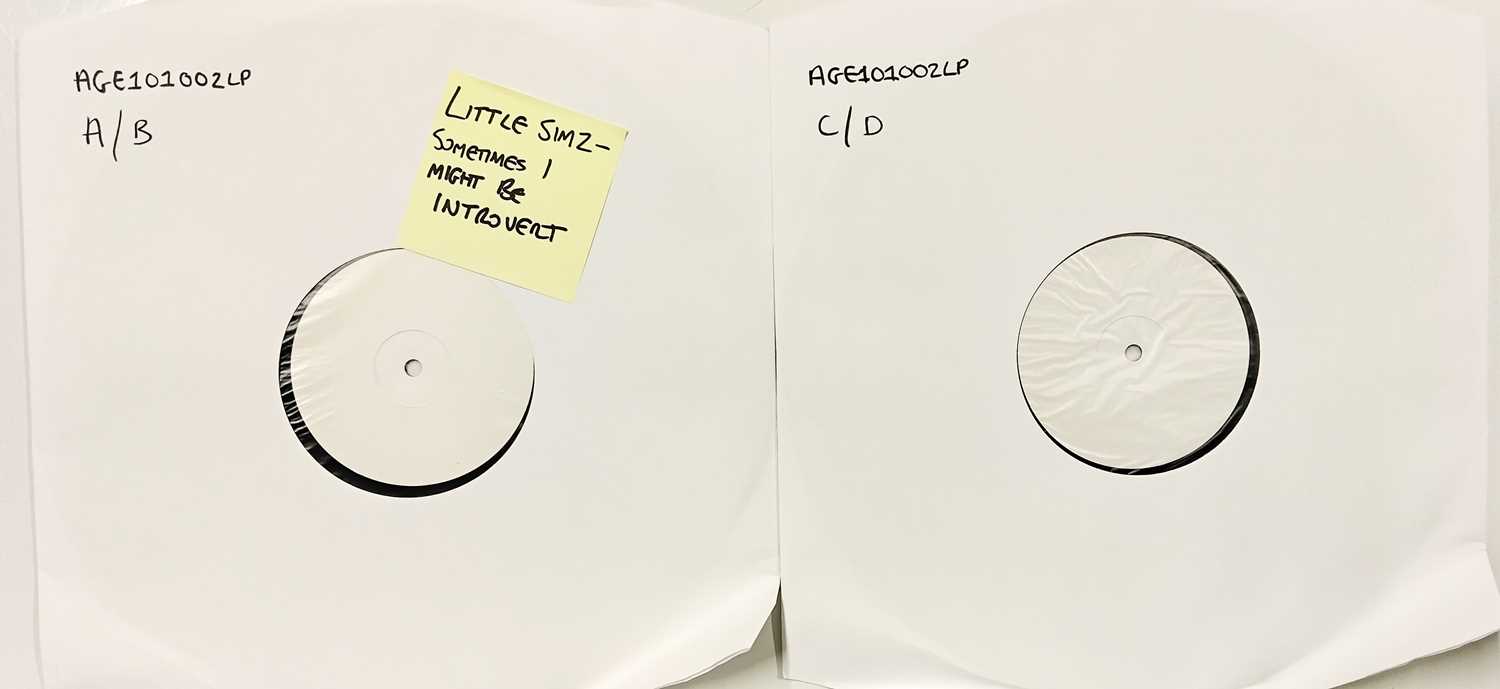 Lot 111 - LITTLE SIMZ - SOMETIMES I MIGHT BE INTROVERT LP (AGE101002LP)