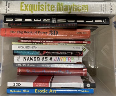 Lot 46 - GLAMOUR / ADULT / EROTICA - BOOK COLLECTION.