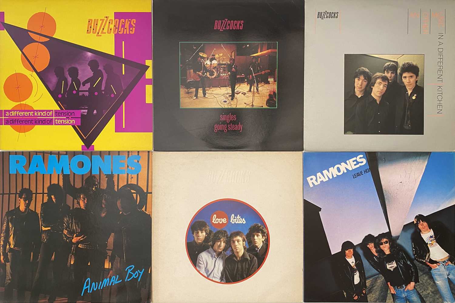 Lot 56 - CLASSIC PUNK - LP COLLECTION