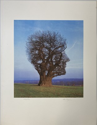 Lot 541 - PINK FLOYD / STORM THORGERSON TREE OF HALF LIFE SIGNED FINE ART PRINT.