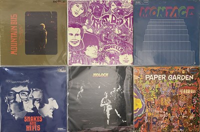 Lot 353 - PSYCH/ GARAGE - LP RARITIES PACK