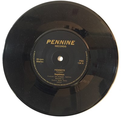 Lot 66 - SEPTIMUS - FERRETS/DO YOU WANNA TOUCH MY SAFETY PIN 7" (PENNINE RECORDS PSS 134)