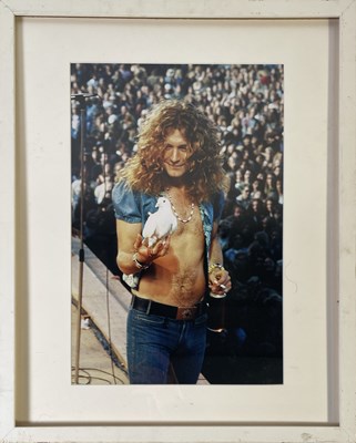 Lot 390 - LED ZEPPELIN - ROBERT PLANT LIMITED EDITION PHOTOGRAPH.