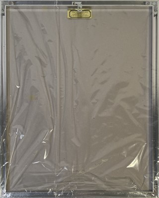 Lot 370 - HEAVENLY - SAINT ETIENNE - SO TOUGH PRESENTATION AWARD.