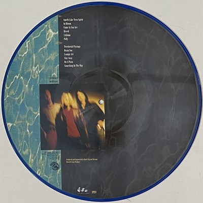 Lot 93 - NIRVANA - NEVERMIND (PICTURE DISC - GLOBUS INTERNATIONAL)