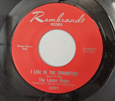 Lot 181 - THE LEMON DROPS - I LIVE IN THE SPRINGTIME 7" (US ORIGINAL - DRUMLESS - REMBRANDT 5009)