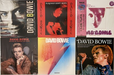 Lot 1286 - DAVID BOWIE - PRIVATE PRESSINGS - LP COLLECTION