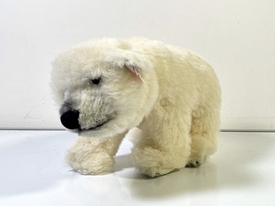 Lot 134 - KNUT POLAR BEAR - 036996