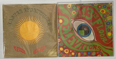 Lot 39 - THE THIRTEENTH FLOOR ELEVATORS - LP RARITIES
